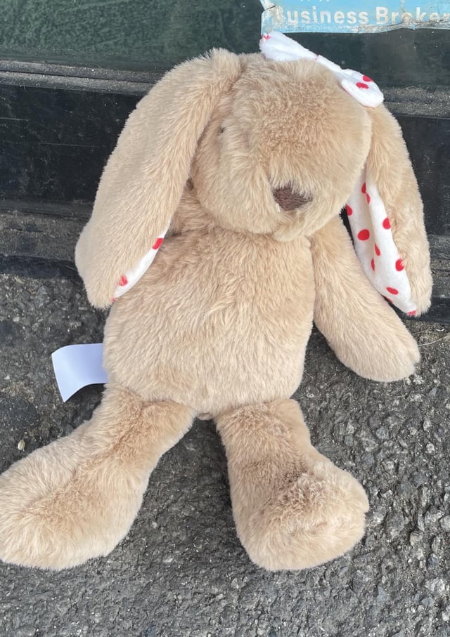 Lost stuffed toy