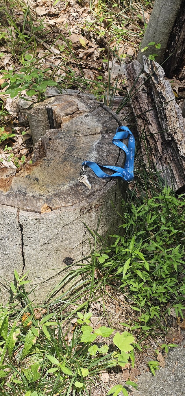 Found keys