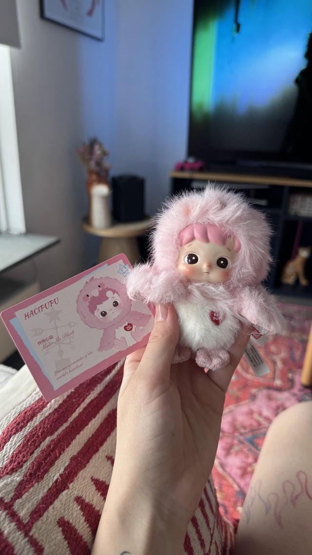 Lost Toy in The Hague