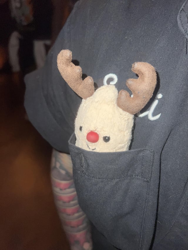 Lost stuffed animal