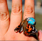 Lost ring