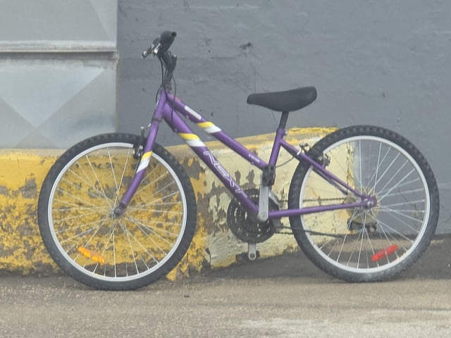 Found bike