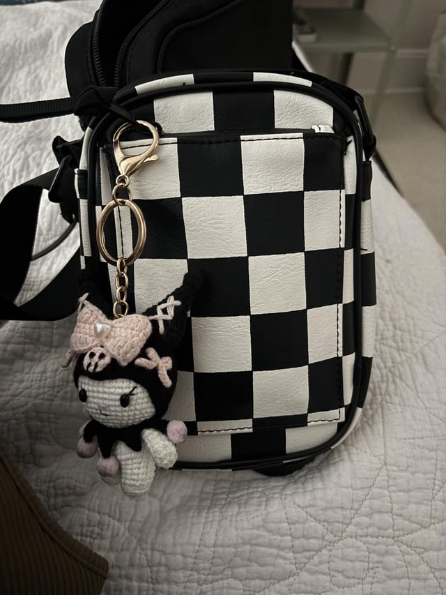 Lost Purse in Sacramento