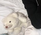 Lost stuffed animal
