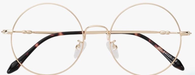 Lost Glasses