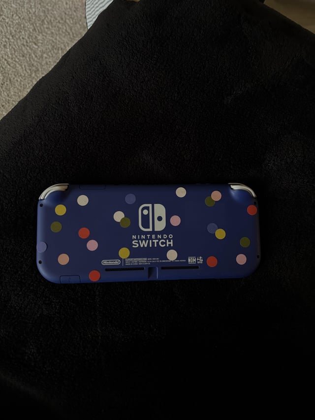 Lost Other in American Airlines Flight