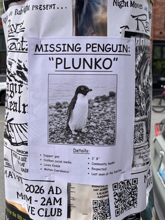 Lost Other in Seattle