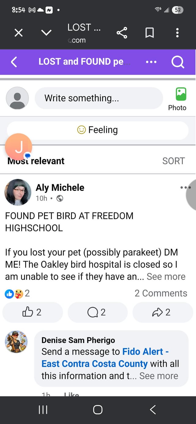 Found dog
