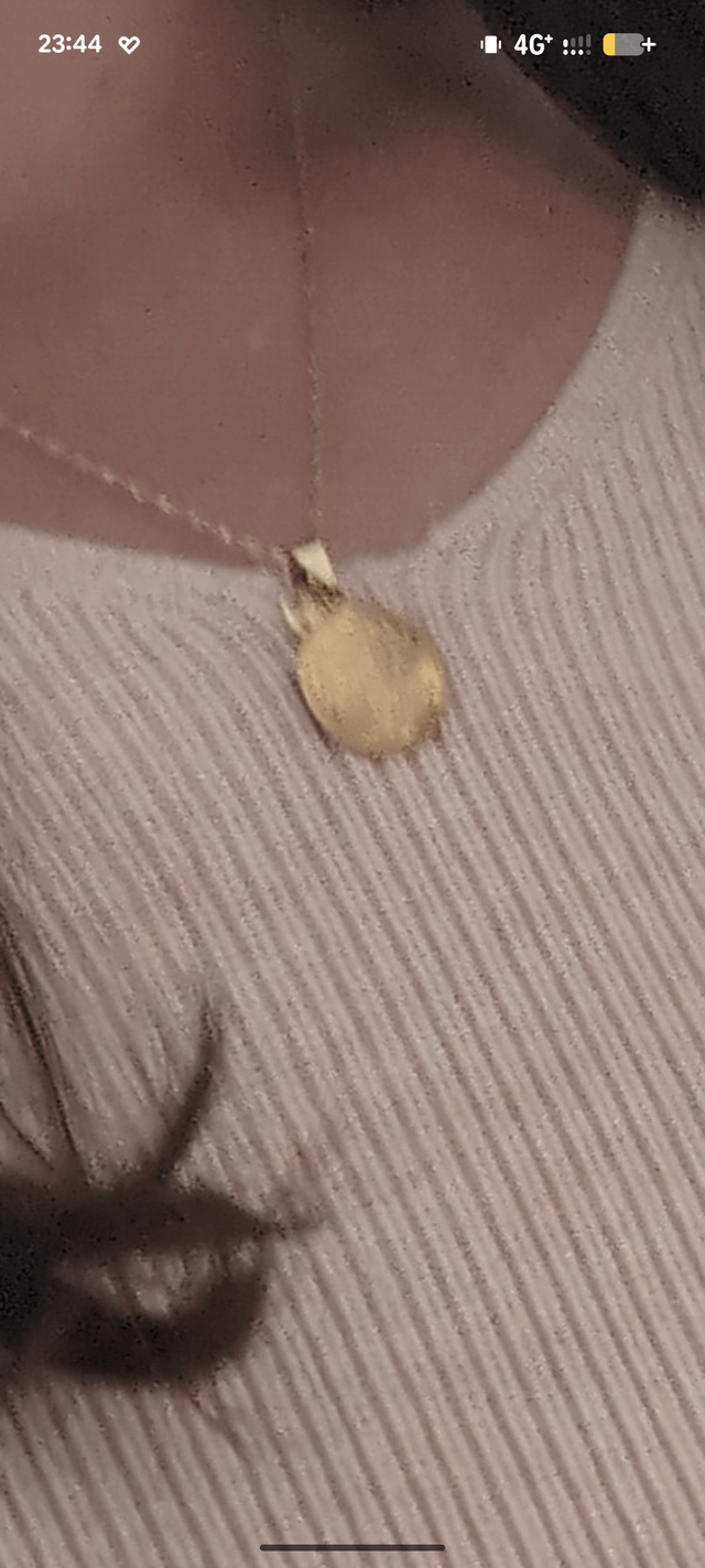 Lost necklace