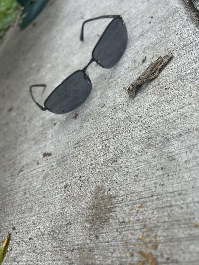 Found Glasses in Bloomington