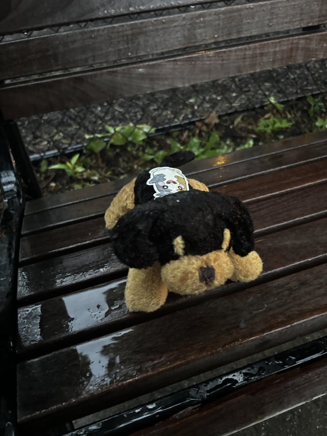 Lost stuffed animal