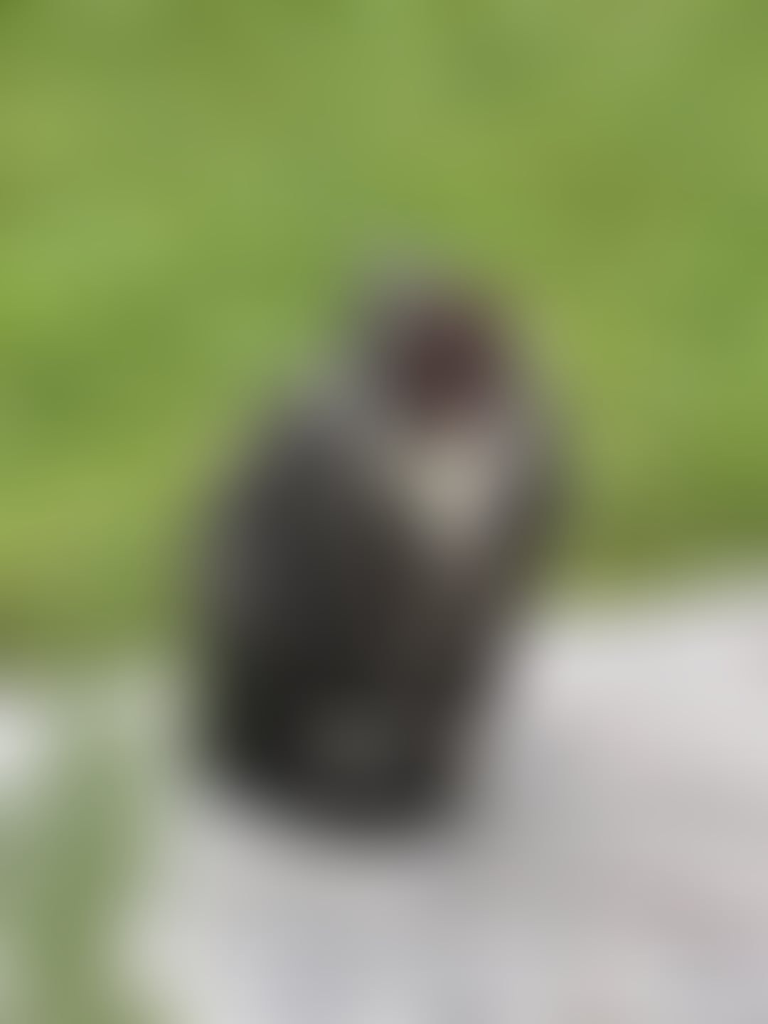 Found cat