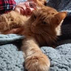 Lost pet