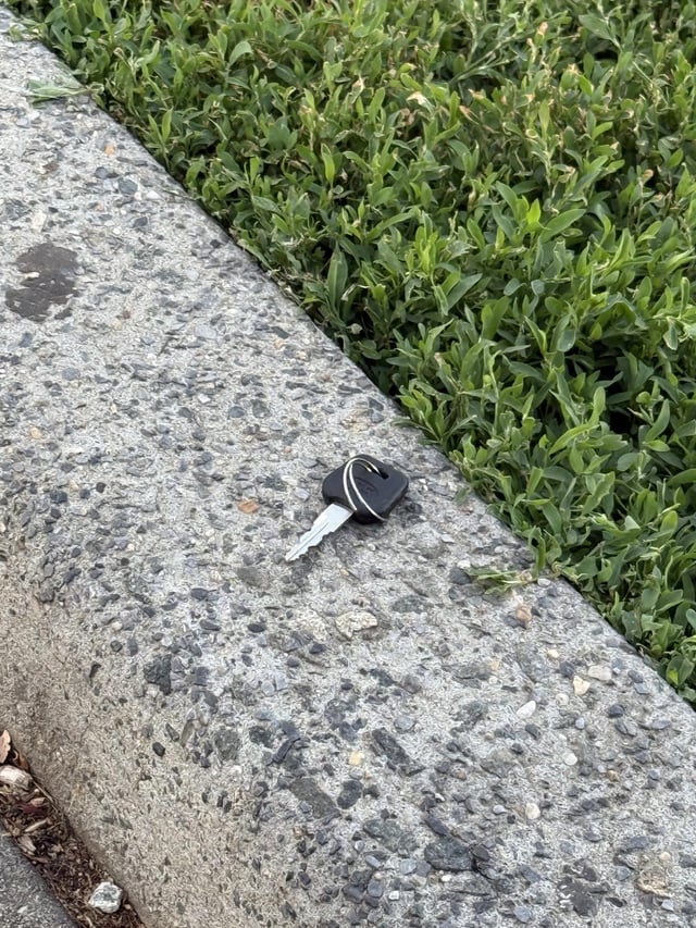 Found keys
