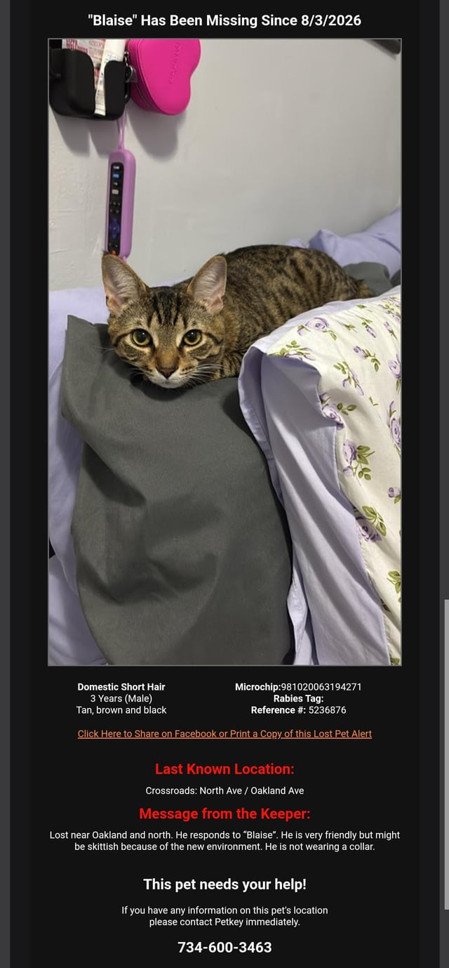 Matching item