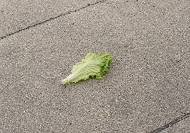 Found Other in Concrete Sidewalk