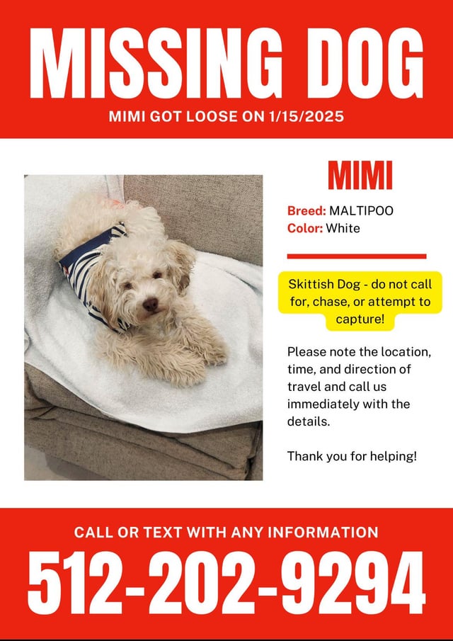 Lost Dog in Paige