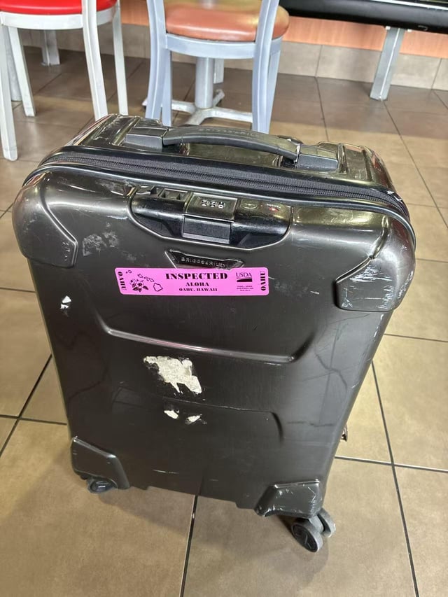 Lost Suitcase in Houston