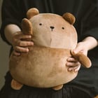 Lost plushie