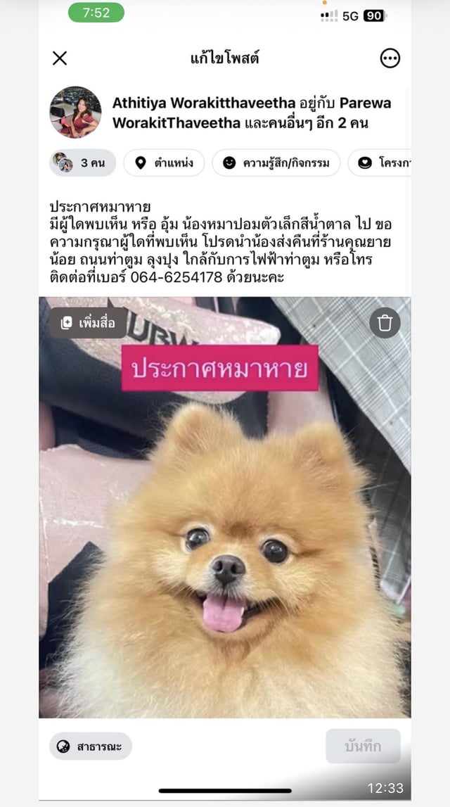 Lost Dog in Surin