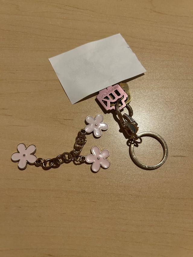 Found Keys in Winnipeg