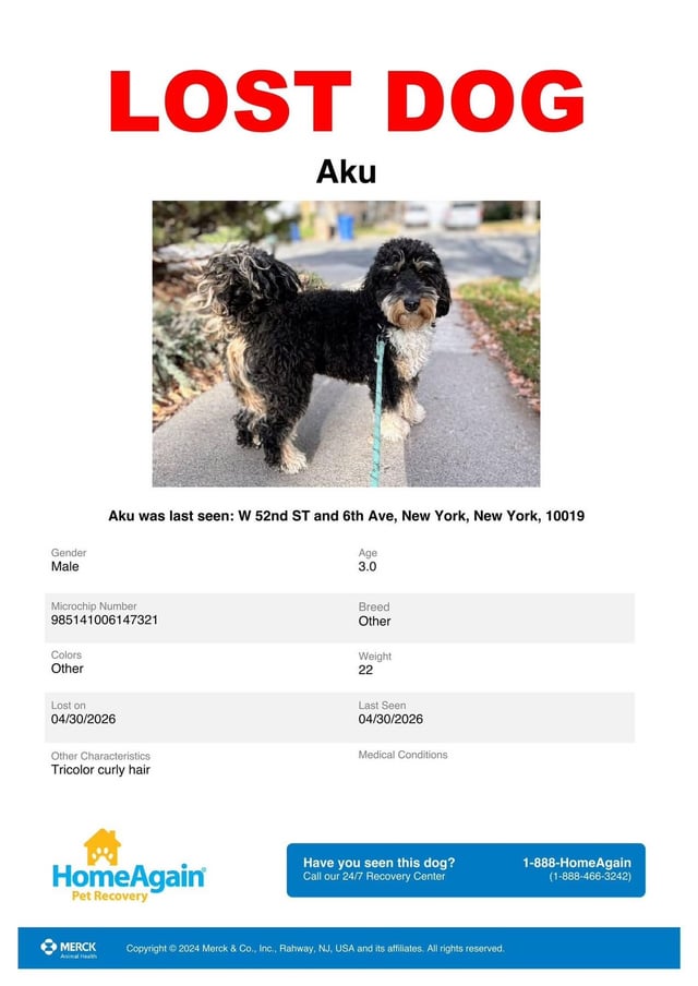 Lost Pet in New York