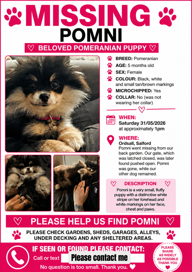 Lost dog