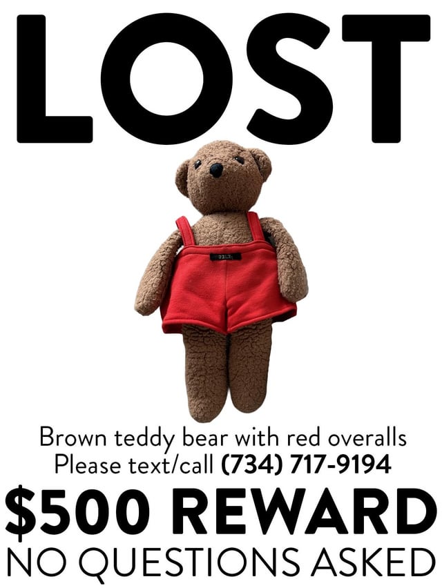 Lost teddy bear