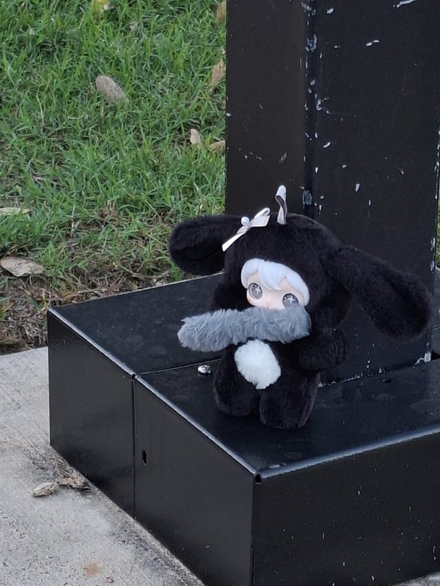Found Art Toy in Brisbane