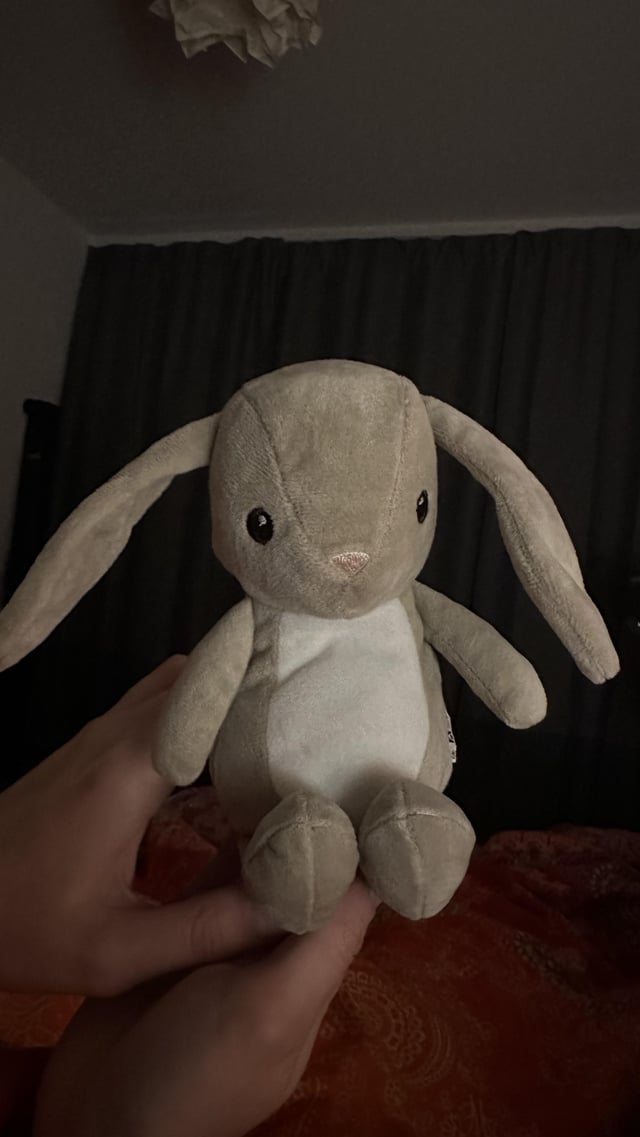 Found stuffed animal