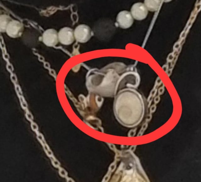 Lost Necklace in Hamburg