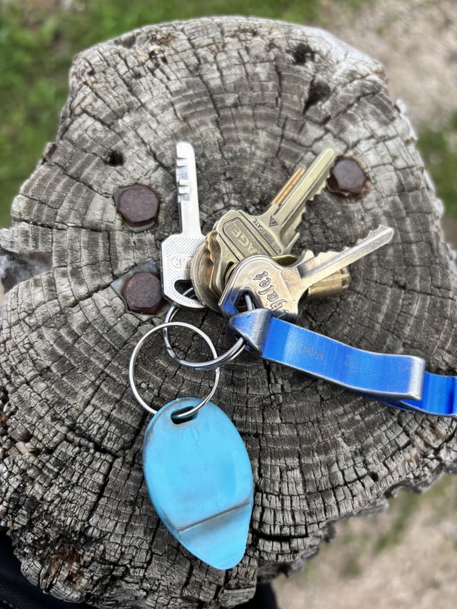 Found Keys in Earl Grey School