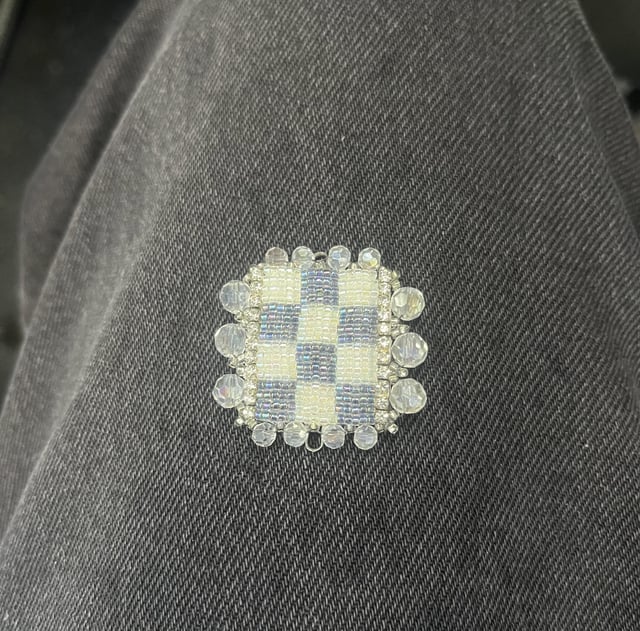 Lost Earring in Washington