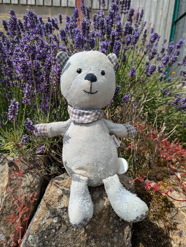 Lost teddy bear