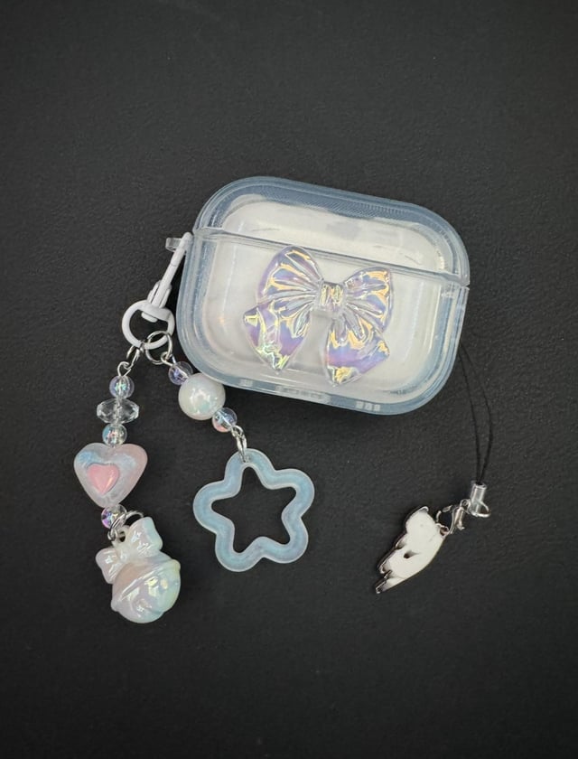 Lost airpods case