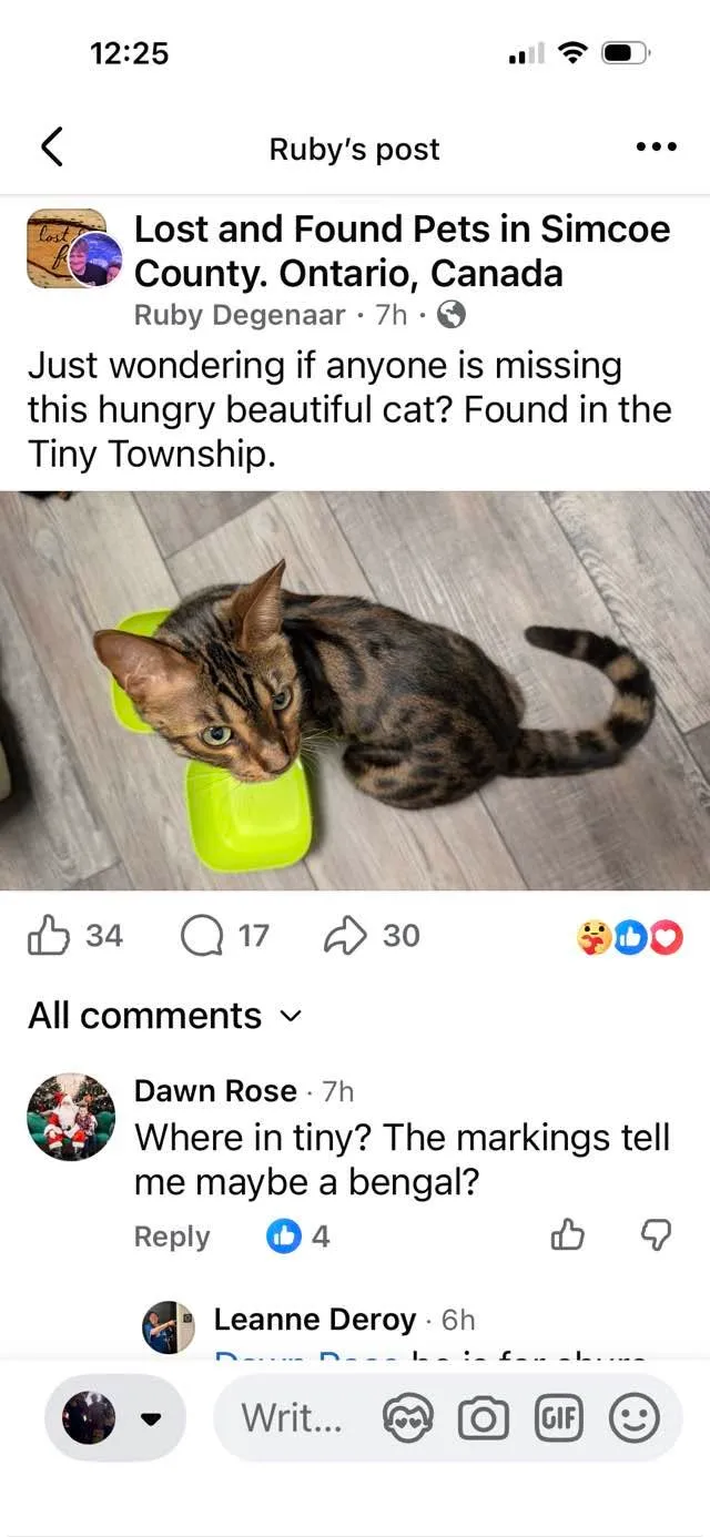 Matching item