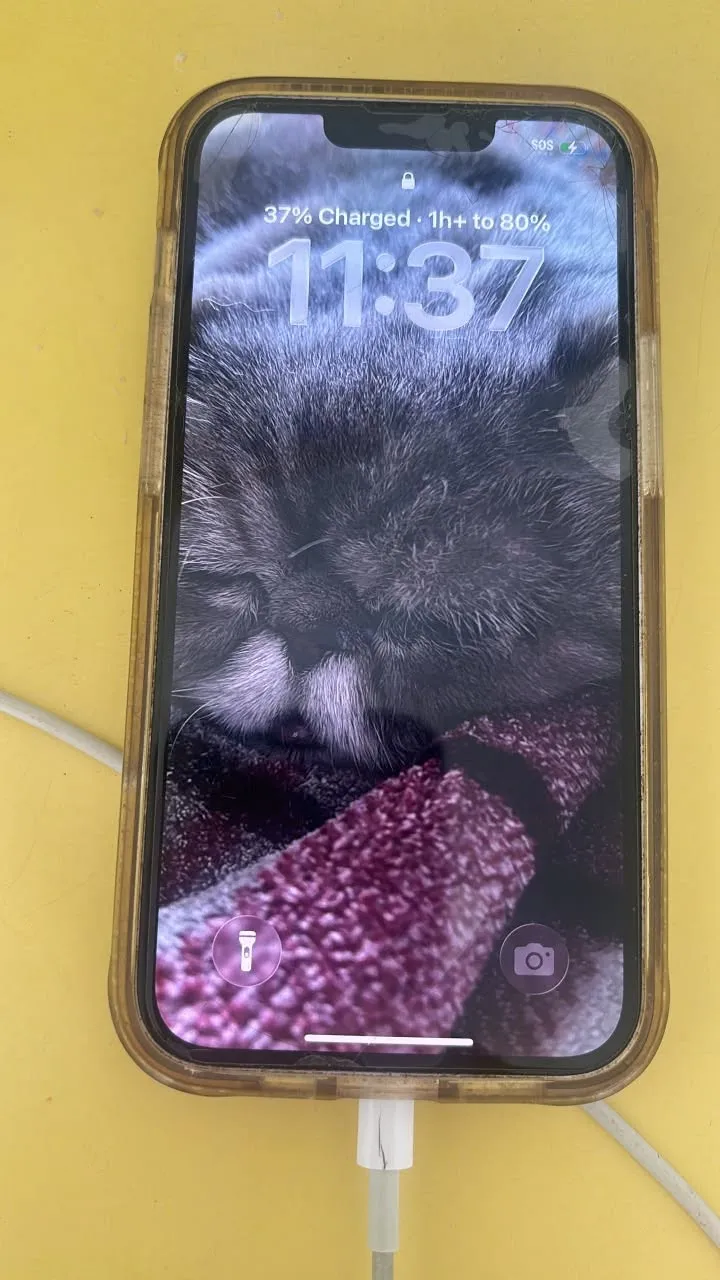 Found phone