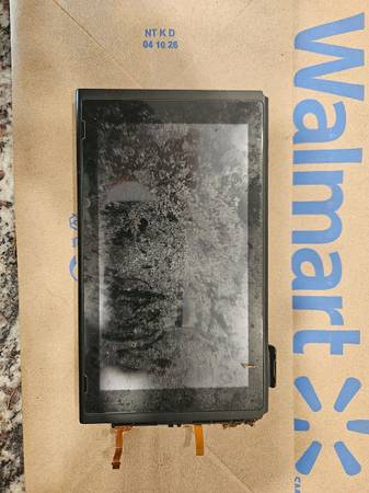 Found Nintendo Switch