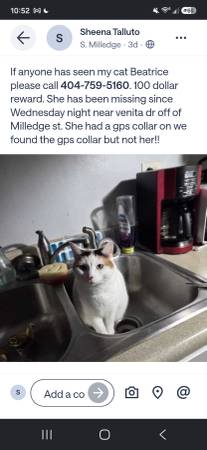 Lost pet