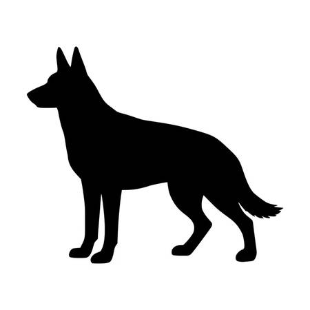 Found Dog in Stewart