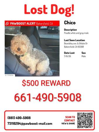 Lost Dog in Bakersfield