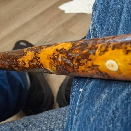 Lost Walking Stick in Bellingham