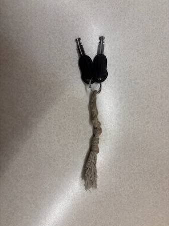 Found keys