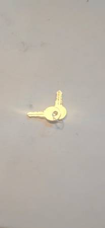 Found keys