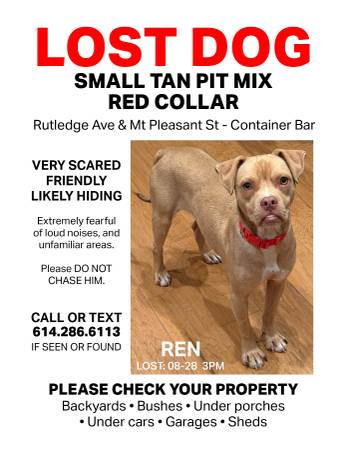 Lost dog