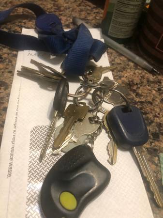 Found keys