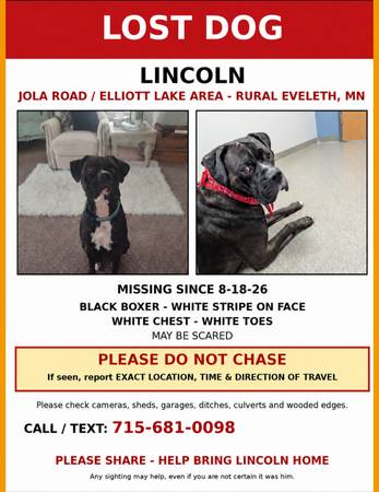 Lost Dog in Eveleth