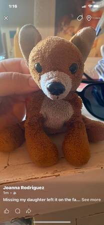 Lost Stuffed Animal in Fresno
