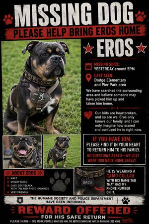 Lost Dog in Grand Island