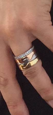 Lost Ring in Saugatuck